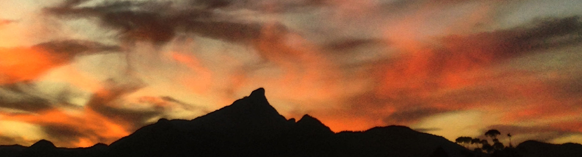 マーガレット・キルガレン, Michele Lockwood #1,2019 Margaret Kilgallen: that's where the beauty is. (2nd Edition