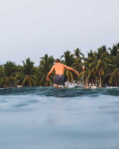 Surfer wearing the 808 polka dot, background is a line of green palm trees and blue ocean water.
