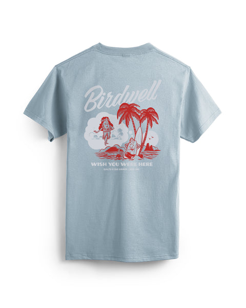 Daydreamin Birdie T-Shirt - Arctic Blue