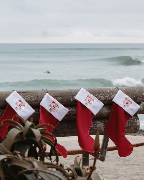 Birdwell Stocking - Limited Edition