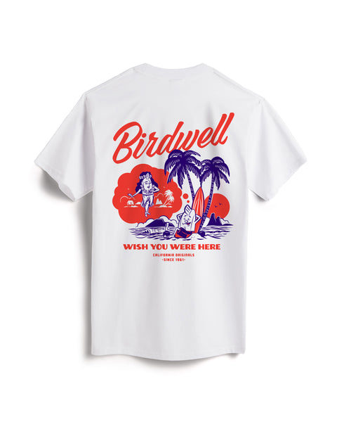 Back view of a white t-shirt with daydreamin birdie screen printed graphic on the background in warm red and indigo. Product on white background.