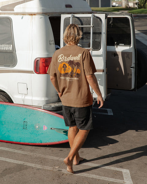 Man wearing a brown t-shirt with screenprinted daydreamin' birdie graphic on orange, dark brown and bone on the back of the tshirt white standing next to a white van with an open back door. Teal blue and red surfboard leaned up against the van.